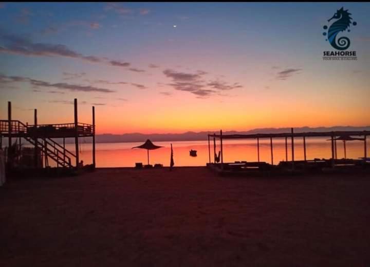 Sea Horse Hotel Nuweiba` Kültér fotó